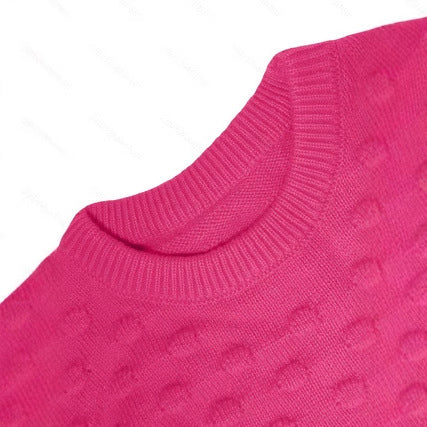 Elegant Round Neck Pullover Sweater Autumn Winter New Style  Style Long Sleeve Comfortable Polyester Fabric