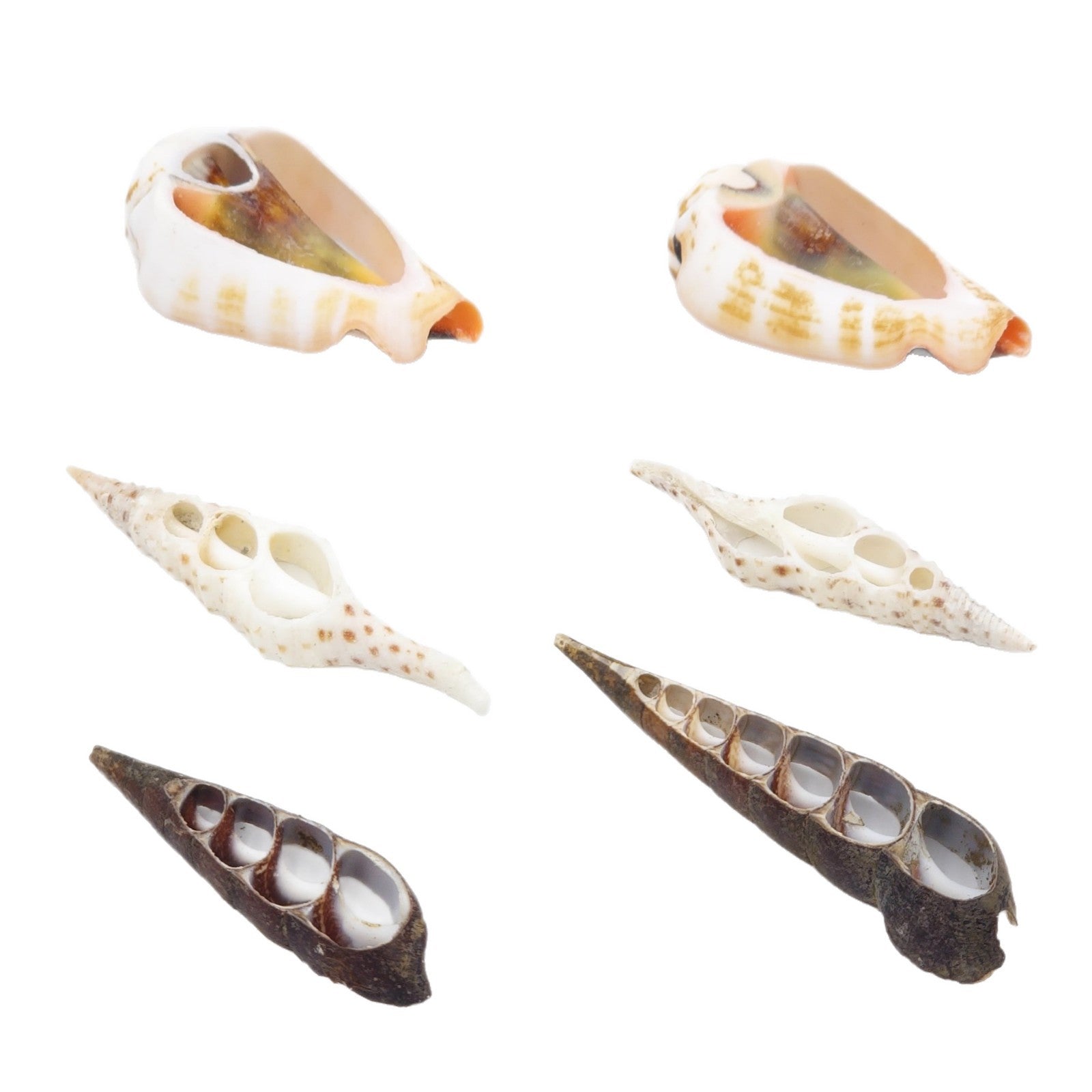 Natural Dyed Black Shell Jewelry Accessory Featuring Handmade Cutting Craft