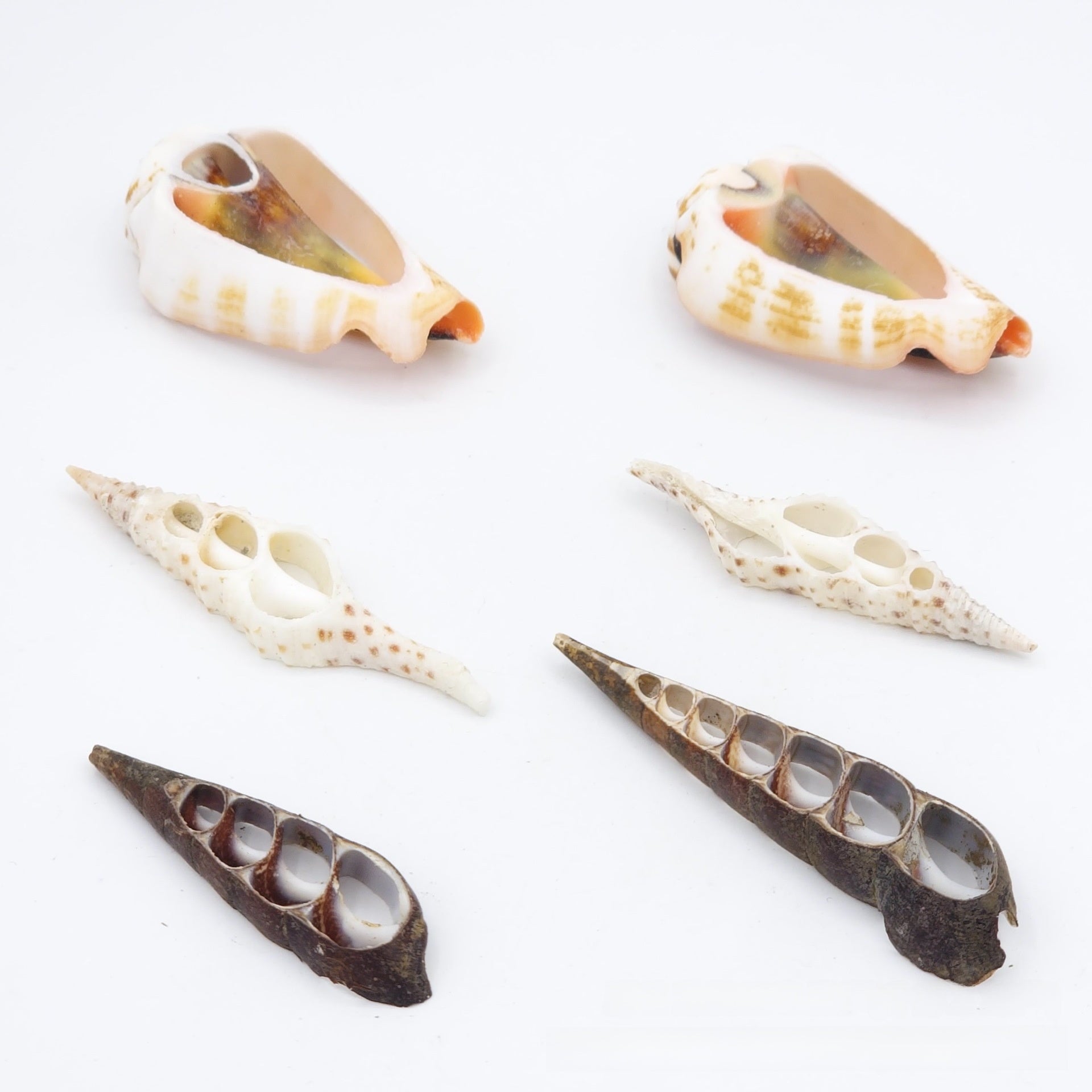 Natural Dyed Black Shell Jewelry Accessory Featuring Handmade Cutting Craft