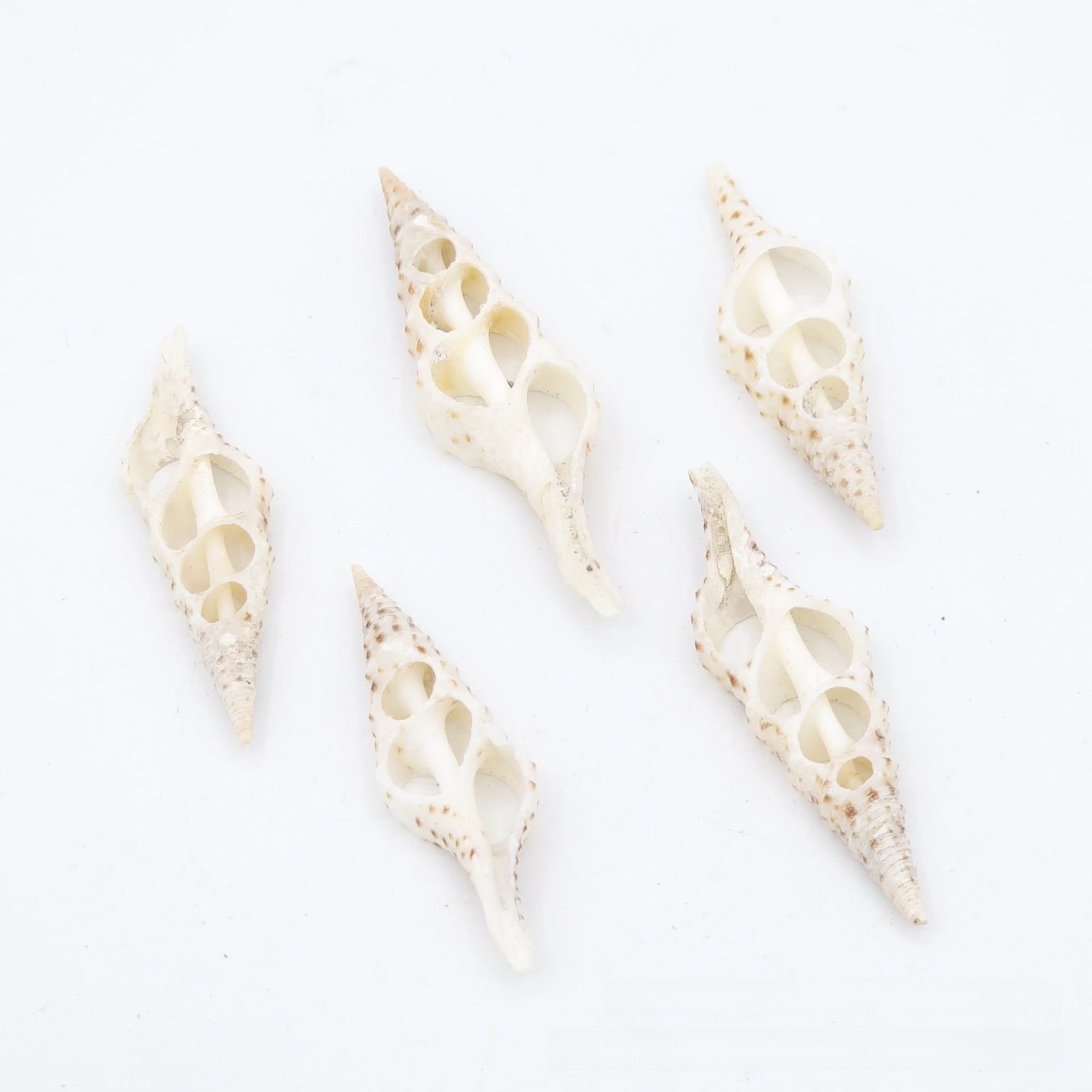 Natural Dyed Black Shell Jewelry Accessory Featuring Handmade Cutting Craft