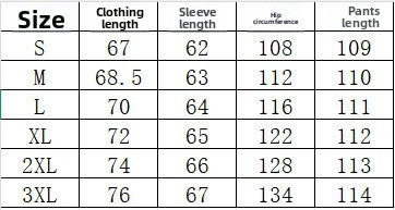 Casual Solid Color Wide Leg Pants Pant Co-ord Set In Polyester With Half Placket, 2 Pieces Set