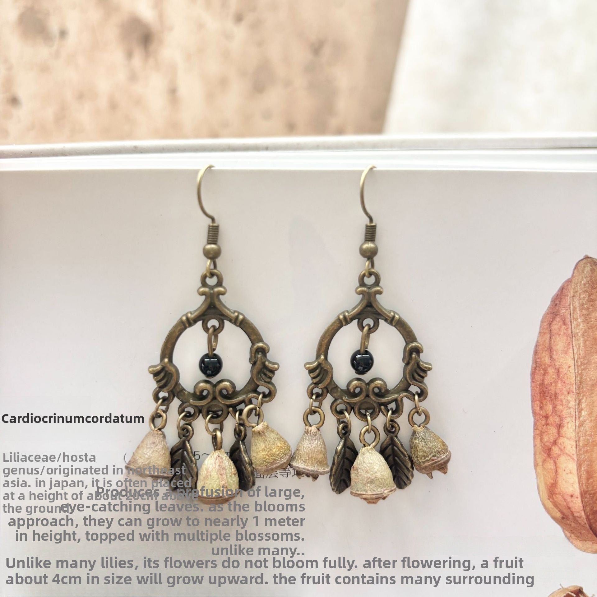 Bohemian Alloy Beading Plant Drop Earrings For Unisex